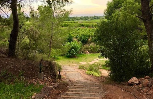 Betera Casa | Bungalow privado en finca ecológica a 30 minutos de Valencia y playas.