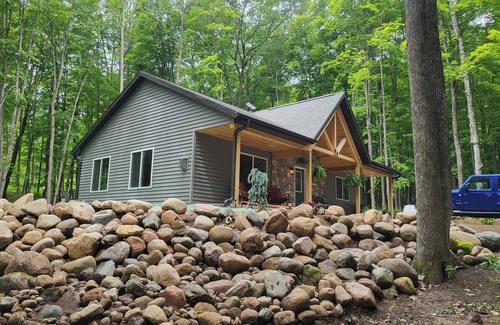 Pickerel Cabina | Private Cozy Luxury Cabin in Woods across from Lake, UTV trails - Pet Friendly