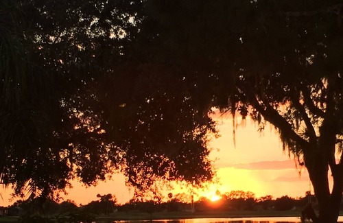 Regency Oaks Casa | Altamente deseado 3 habitaciones + Den, casa de la piscina en Palmetto: Regency Oaks 01