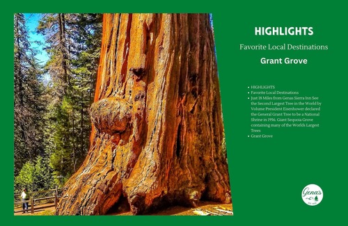 Dunlap Apartamento | Private Room #7: Queen Bed + Youth Twin Loft Bed