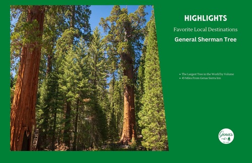 Dunlap Apartamento | Private Room #7: Queen Bed + Youth Twin Loft Bed