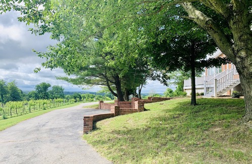 Augusta Casa | Private Vineyard