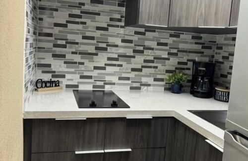 Isla Grande Apartamento | Privilege Apartment @ San Juan Convention Center with A/C, parking and Wi-Fi