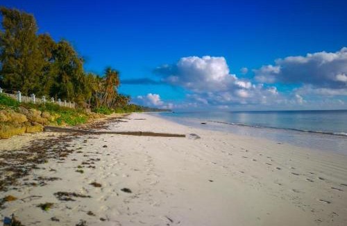 Bwejuu Complejo | Protels La Plage