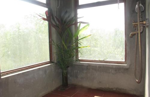 Mai Chau Cama Y Desayuno | PuBinSpiceHills Perilla