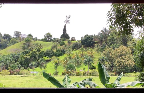 Langostino Casa | THE SEACRET SPOT - PUERTO PILON - PAVONES