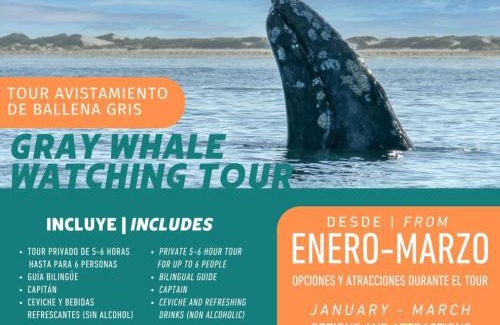 Puerto San Carlos Casa | Puerto San Carlos Bay House & Tours -1st Floor-