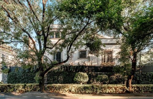 Polanco Hotel | Pug Seal Polanco Anatole France