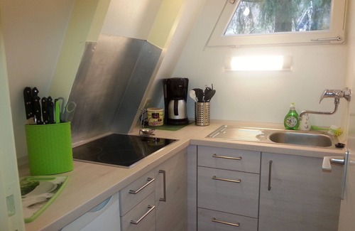 Leinsweiler Casa | Naturaleza pura en 53 m² de superficie habitable, 500 m² de parcela / valla con orientación sur