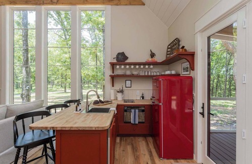 McEwen Casa | Purple Martin: Secluded Forest Birdwatcher