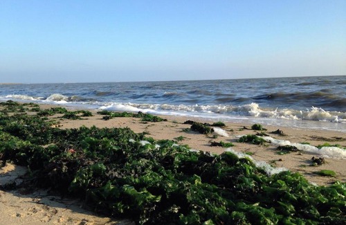 Wenningstedt-Braderup Apartamento | Puschmann App. 26