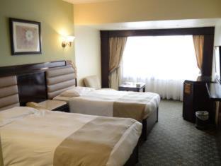 Al Duqqi Hotel | Pyramisa Suites Hotel Cairo