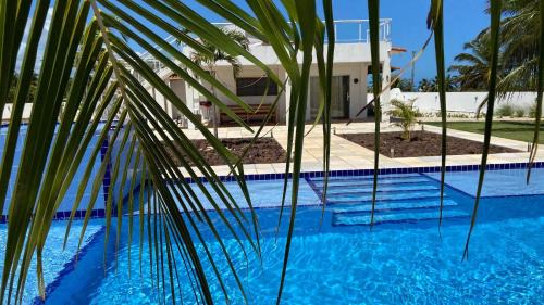 Touros Casa | Qavi - Casa Palm Paradise #ParaisoDoBrasil