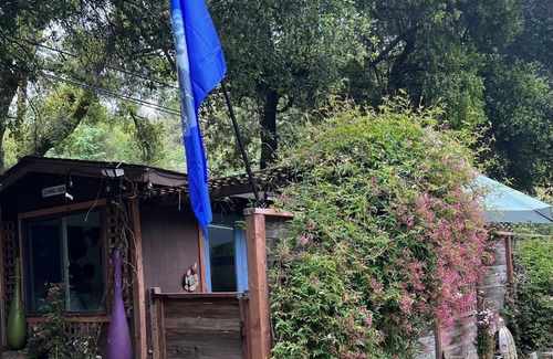 Soquel Cabina | Quaint Cabin in the Santa Cruz Mountains