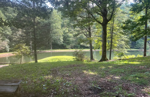 Zirconia Alquiler De RV | Quaint campground in Zirconia with stunning views waterfall