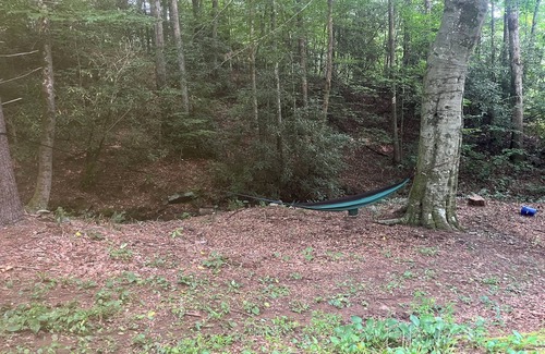 Zirconia Alquiler De RV | Quaint campground in Zirconia with stunning views waterfall