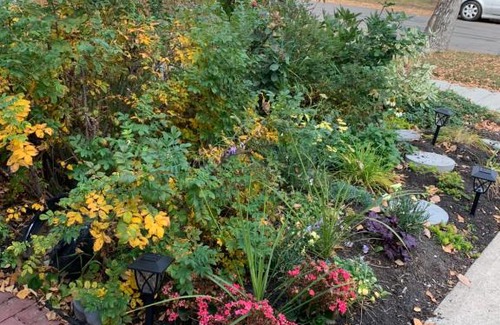 West Edmonton Cama Y Desayuno | Quaint & Cozy Accommodation