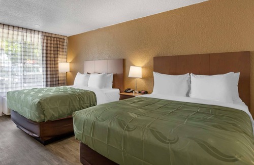 St. Petersburg - Clearwater Hotel | Quality Inn Saint Petersburg North-Tampa Bay