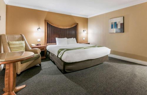 College Park Hotel | Quality Inn & Suites Atlanta Airport South