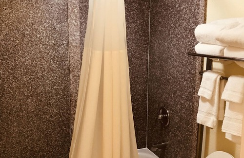 Statesboro Hotel | Quality Inn & Suites Conference Center Statesboro Historic District