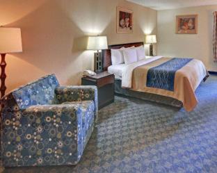 Irving Hotel | Quality Inn & Suites Irving DFW Airport South
