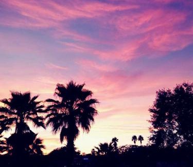 Leesburg Hotel | Quality Inn & Suites Leesburg Chain of Lakes