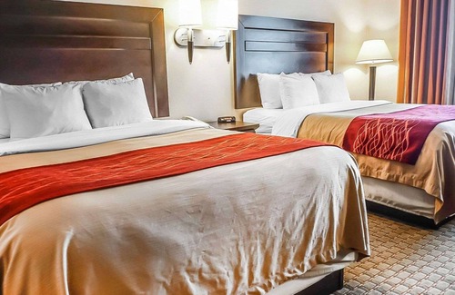Roswell Hotel | Quality Inn & Suites Roswell North