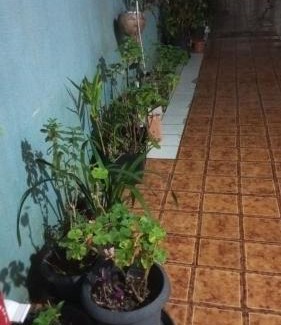Portao Casa | Quarto casal arejado