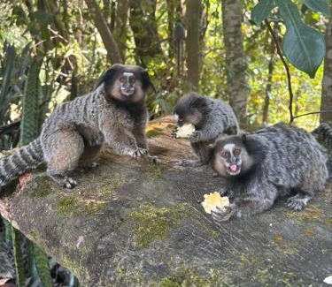 Pati Valley Casa | Quarto privativo no Quintal dos Sonhos