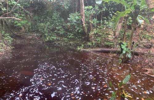 Pati Valley Casa | Quarto privativo no Quintal dos Sonhos