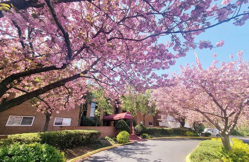 Elkins Park Apartamento | Quiet, Comfortable Safe