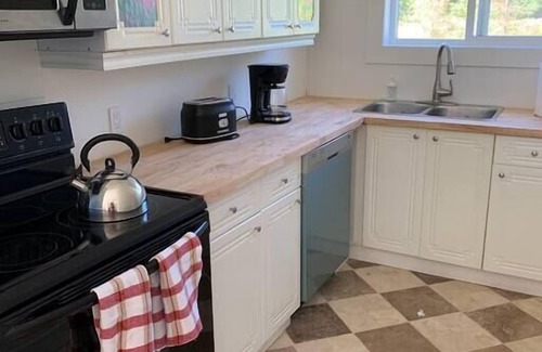 Port Alberni Otro | Quiet Country Home With Mountain View for 6 pets freindly