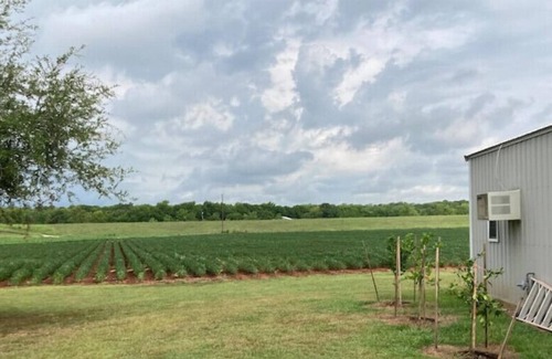 Moreauville Casa | Quiet Country "Studio"