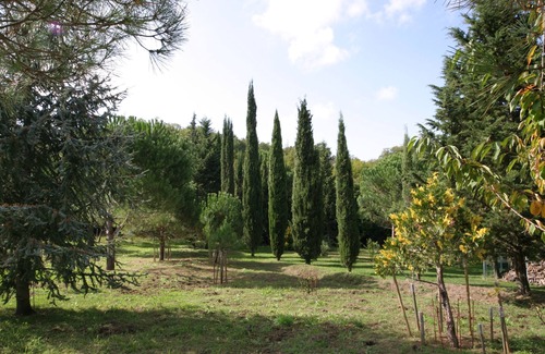 Montieri Cabaña | Casa tranquila en la montaña, céntrica, ideal para viajes.