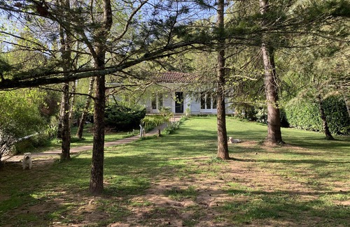 Albi Villa | Quiet house & rooms. Nature & river