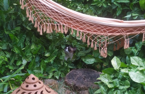 Rio Claro Casa | Quiet room with double bed