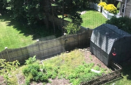 Greenwich Apartamento | Quiet Sunny 1 Bedroom Downtown Greenwich, Connecticut