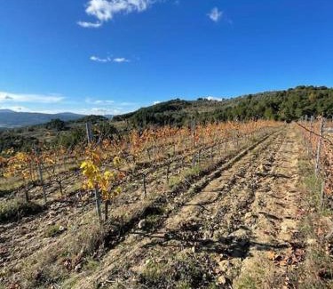 Casas Novas Apartamento | Quinta da Penada - Vineyard & Winery - Suíte 3