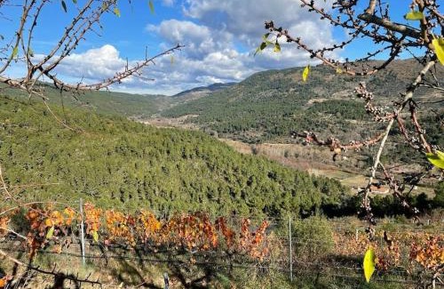 Casas Novas Apartamento | Quinta da Penada - Vineyard & Winery - Suíte 3