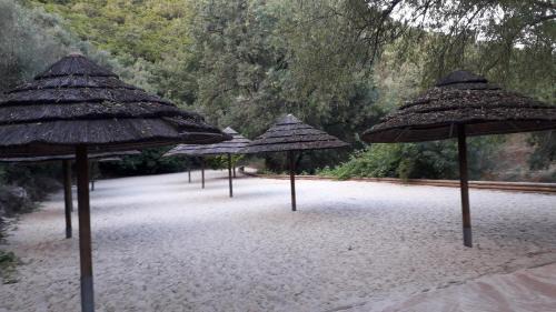 Sabacheira Casa | Quinta Da Silva