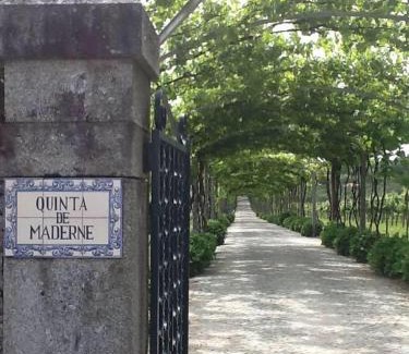 Felgueiras Casa | Quinta de Maderne