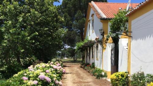 Alvega Casa | Quinta de SantAna da Várzea