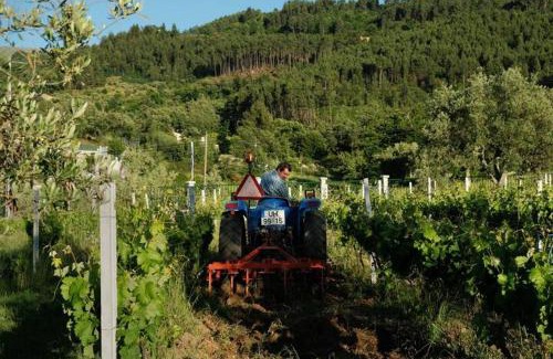 Seia Casa | Quinta de Vodra