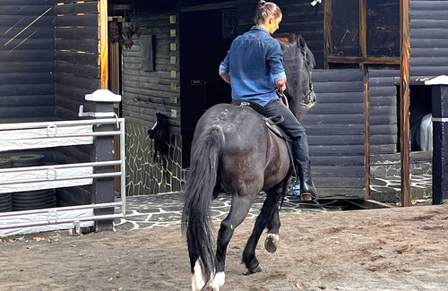 Zaragoza Casa | Quinta el zable