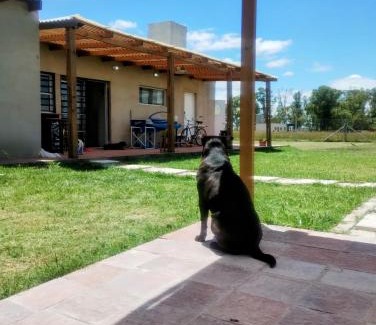 San Vicente Casa | Quinta La Hortensia y El Gauchito