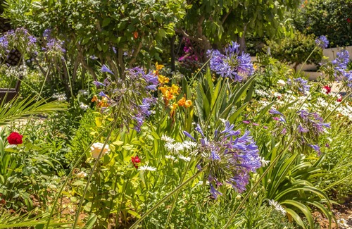 Praia da Luz Casa | Quinta Paraiso da Mia - 1 Bedroom Apartment