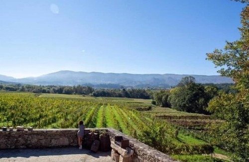 Moncao Apartamento | Quinta Vila Nova - Apartamiento da Vinha | Agroturismo | Medio ambiente rural