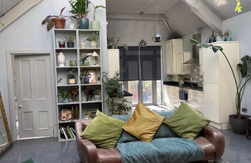 Fallowfield Casa | Quirky house