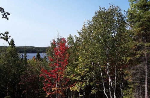 Saint-Felix-d'Otis Cabina | Résidence touristique Lodge des Bois