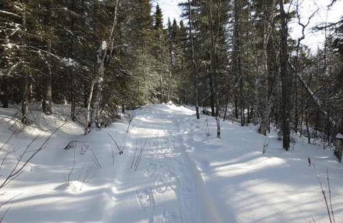 Saint-Felix-d'Otis Cabina | Résidence touristique Lodge des Bois